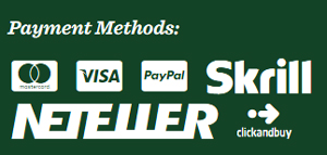 Mr Green Casino Payment Methods